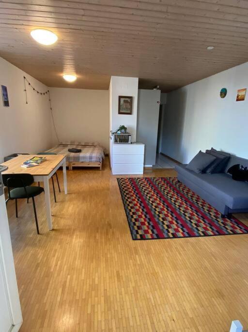 Urban Retreat - Cozy Studio With Private Patio Apartment Zurich Exterior photo